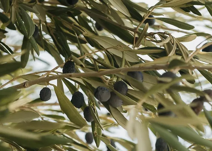 Vila Kea Thea By A&d *