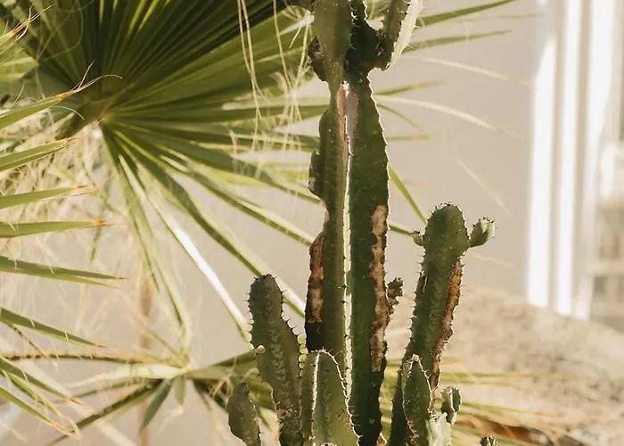 Villa Kea Thea By A&d