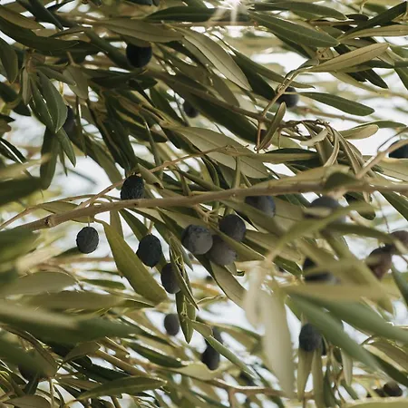 Villa Kea Thea By A&d *