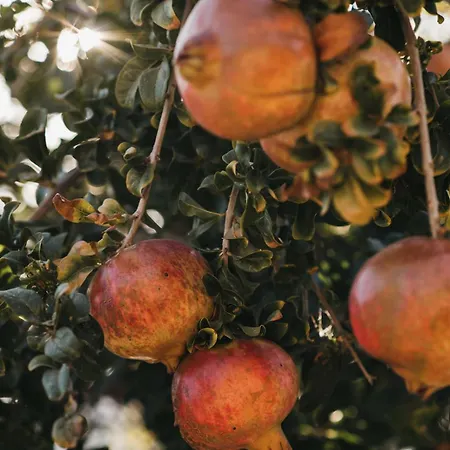 Kea Thea By A&d Villa Otziás