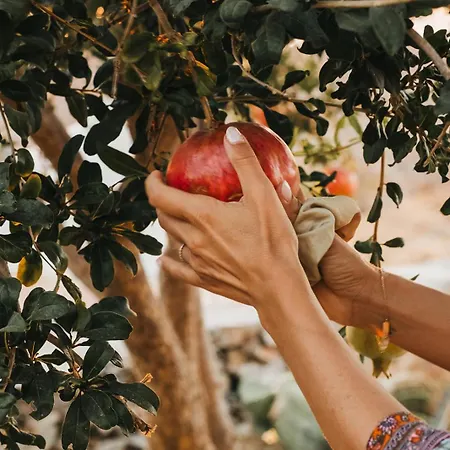 Kea Thea By A&d Otziás