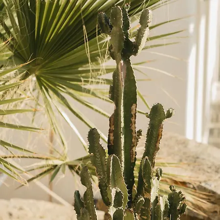 Villa Kea Thea By A&d