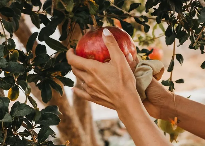 Kea Thea By A&d Otziás